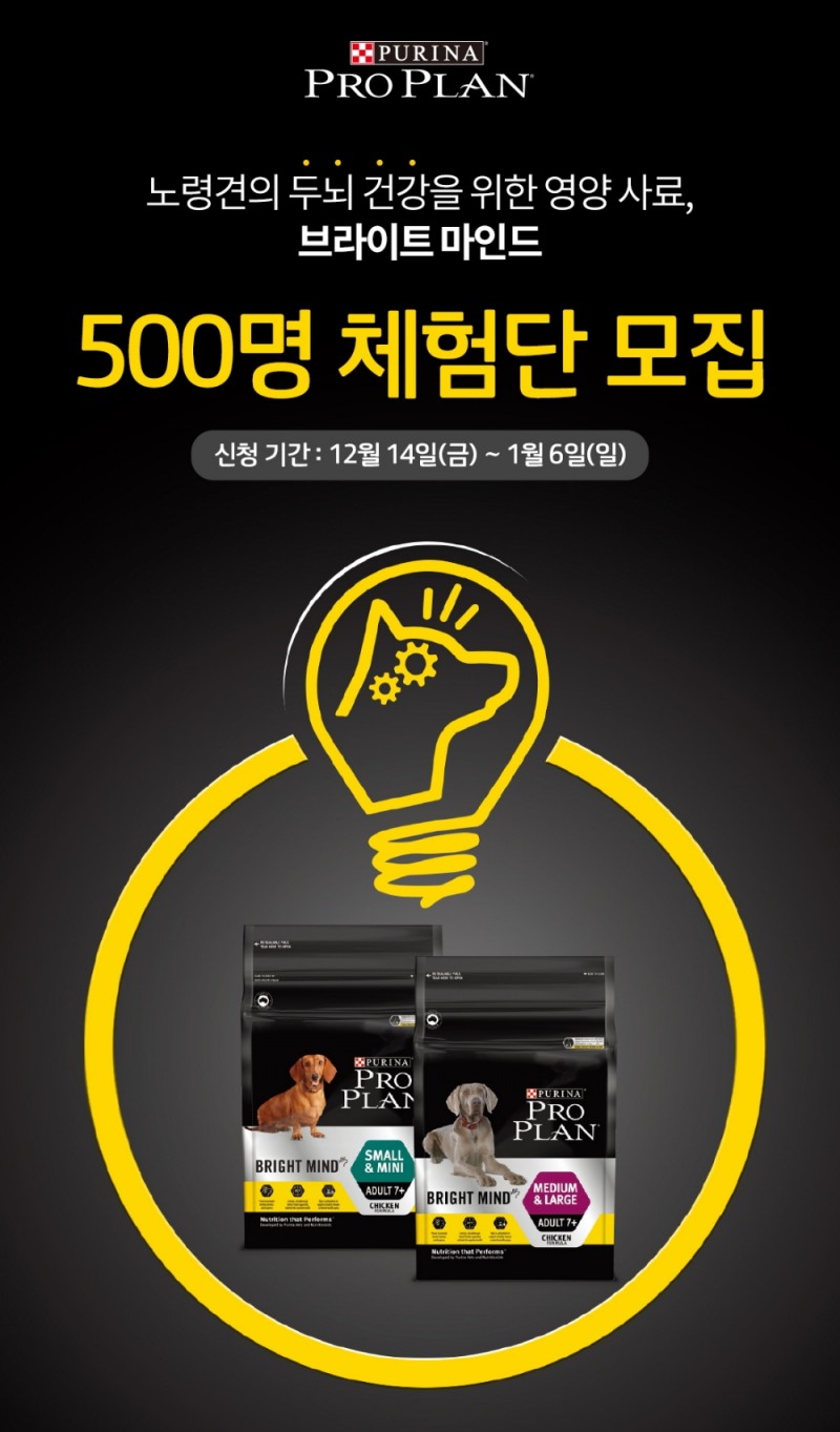 네슬레 퓨리나, 프로플랜 ‘브라이트 마인드’ 체험단 모집