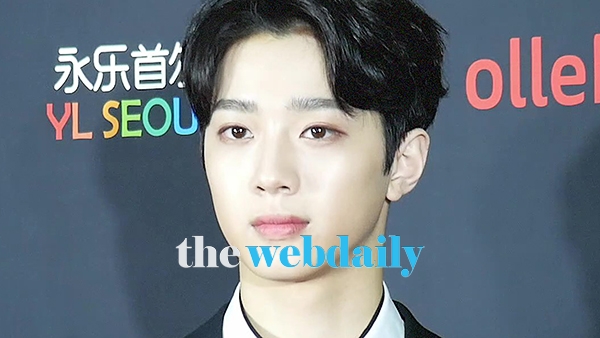 워너원 라이관린, 2018 KPMA(2018 대한민국대중음악시상식) 레드카펫 행사