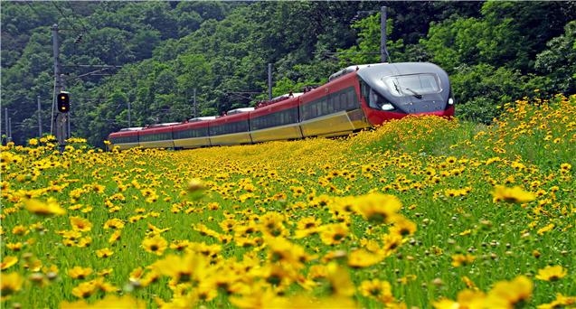 사진=코레일 제공