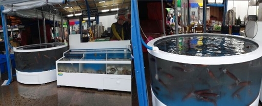 삼척 맛집, 배달 주문 가능한 수산물 전문점 ‘하늘빛바다’