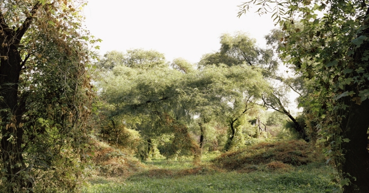 사진=제11회 KT&G SKOPF 최종작가 김승구 씨 작품 <밤섬>