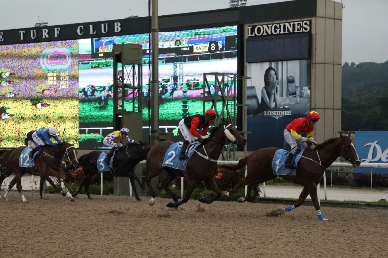 지난 7월 22일 싱가포르 KRA 트로피 경주모습 12번마 투데이. (사진=마사회)