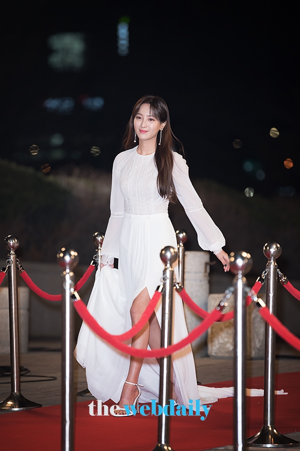 정혜성, ‘2018 KBS 연기대상’ 레드카펫 포토월 행사