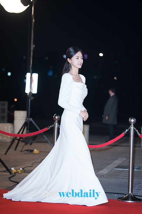 고보결, ‘2018 KBS 연기대상’ 레드카펫 포토월 행사