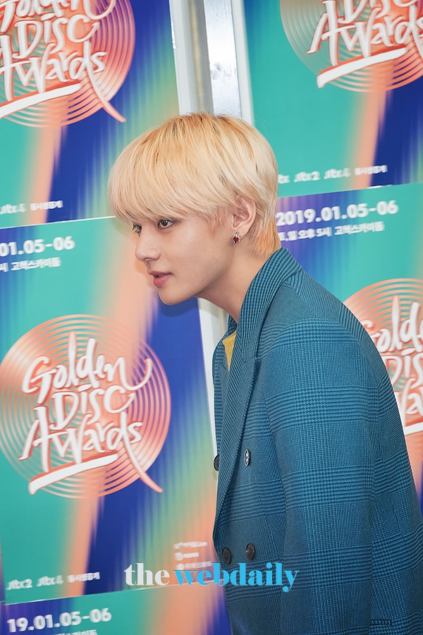 방탄소년단(BTS) 뷔, 2019 골든디스크 어워즈 (음반부분) 레드카펫 행사