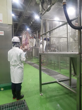 농협, 설 대비 축산식품 위생·안전 특별점검