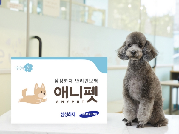 삼성화재, 다이렉트 반려견보험 출시