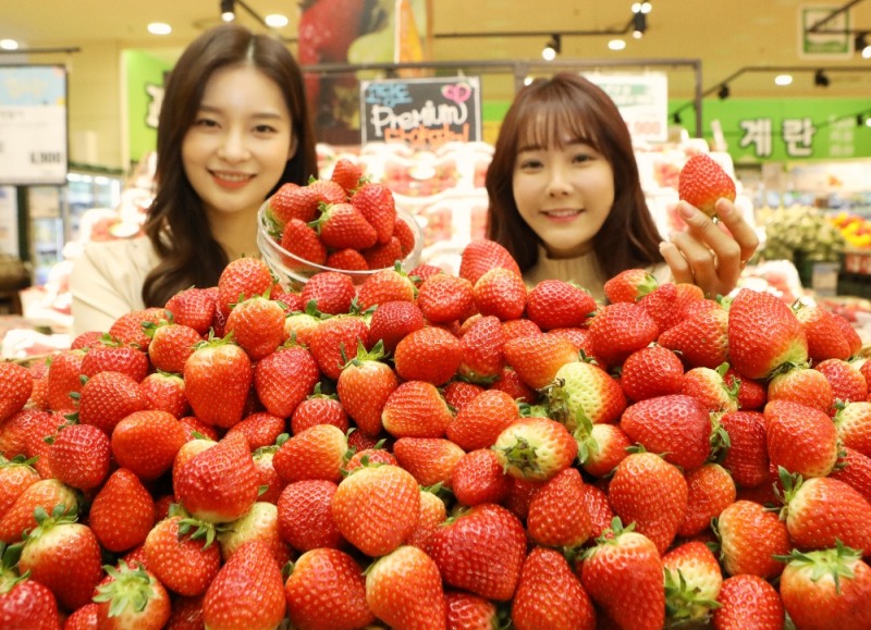 (사진=롯데마트)