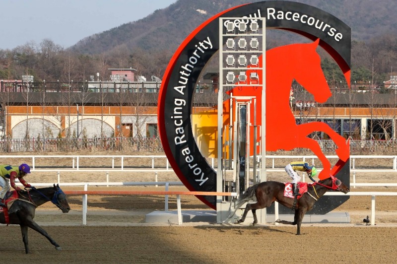 (사진=한국마사회)