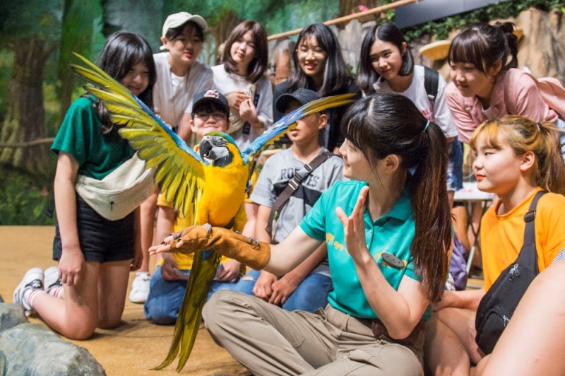 (사진=에버랜드)