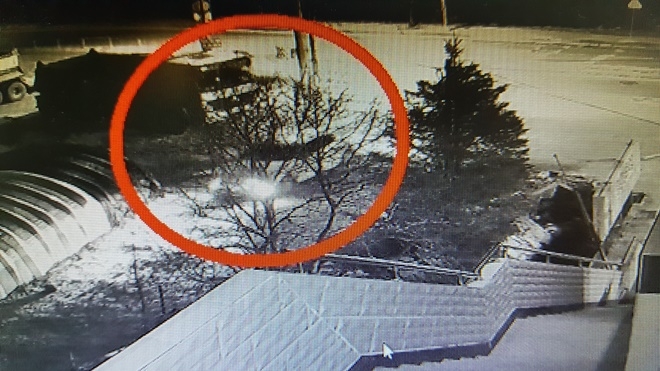 농약을 배포한 음식물을 먹게해 죽음에 이르게 한 뒤 차량으로 싣고가는 피의자 차량. (사진제공=부산경찰청)