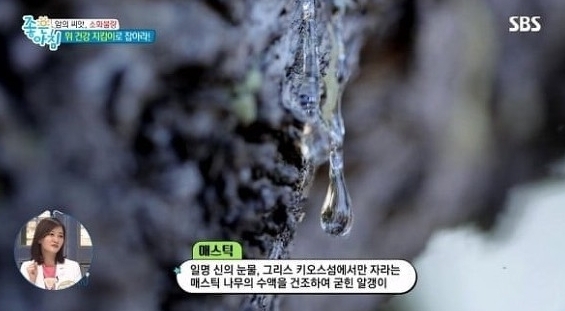 매스틱/SBS 방송화면