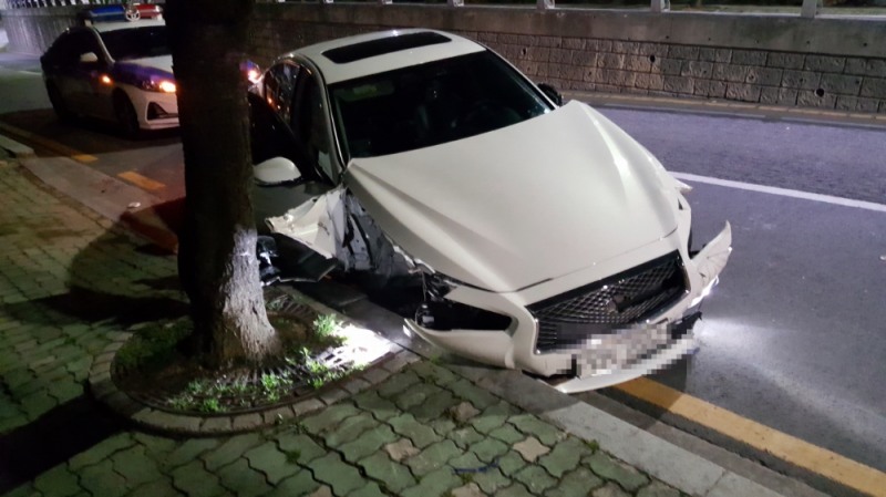 갓길 가로수를 충격한 인티피니 차량.(사진제공=부산경찰청)