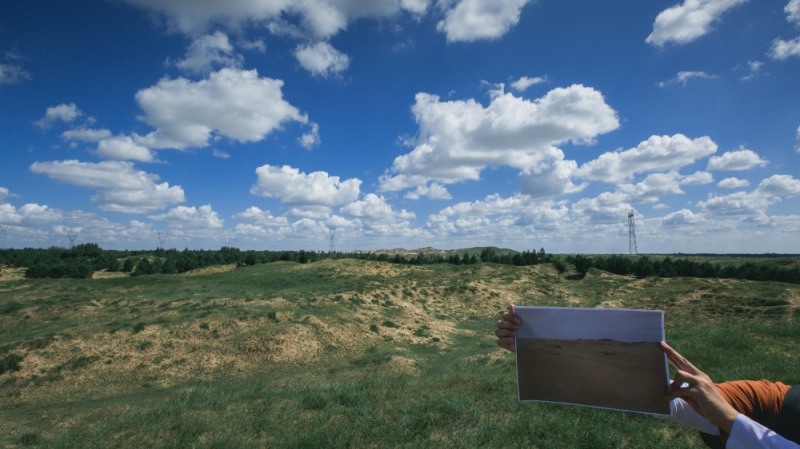 팀버랜드, 호킨 나무심기 프로젝트 참가자 모집