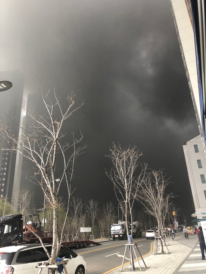 사진=디시인사이드 게시글 캡쳐