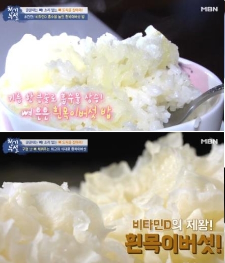 흰 부케 같아...흰목이버섯, 신기하고 예쁘게 생김