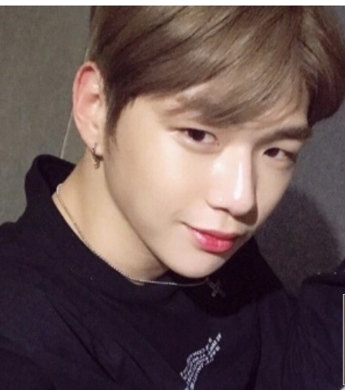 디스패치, 읽어보니...강다니엘 빅이슈 전말