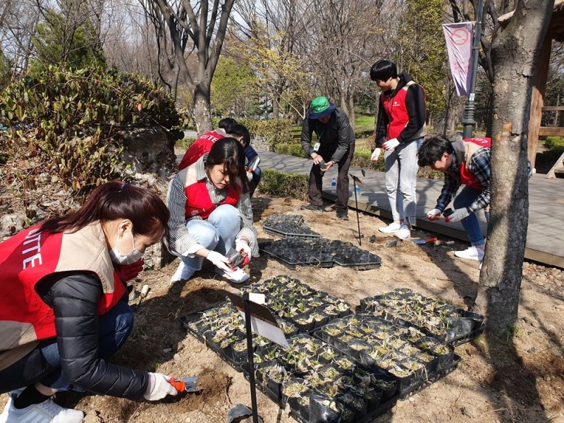 롯데e커머스 임직원이 서울 중구 남산공원에서 '남산 숲 가꾸기' 봉사활동을 진행하고 있는 모습. (사진=롯데쇼핑)