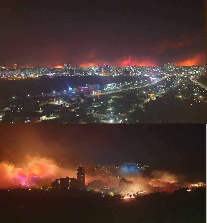 사진=커뮤니티 게시판