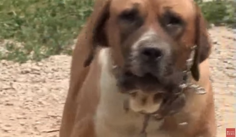 사진=TV조선 방송화면 갈무리