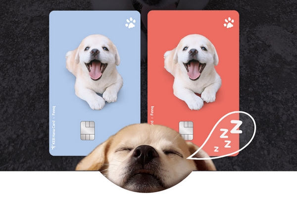 ‘절미카드’의 깜찍한 모습이 반려인구를 사로잡기 충분하다 / 출처 website