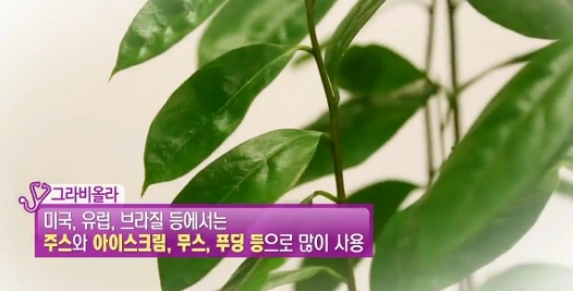 출처=방송화면 캡쳐