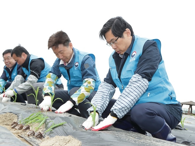 박상기 법무부 장관(오른쪽 첫 번째)이 사회봉사명령 집행 현장인 경기도 시흥시 정왕동 농장을 방문해 옥수수모종 심기를 하고 있다.(사진제공=법무부)