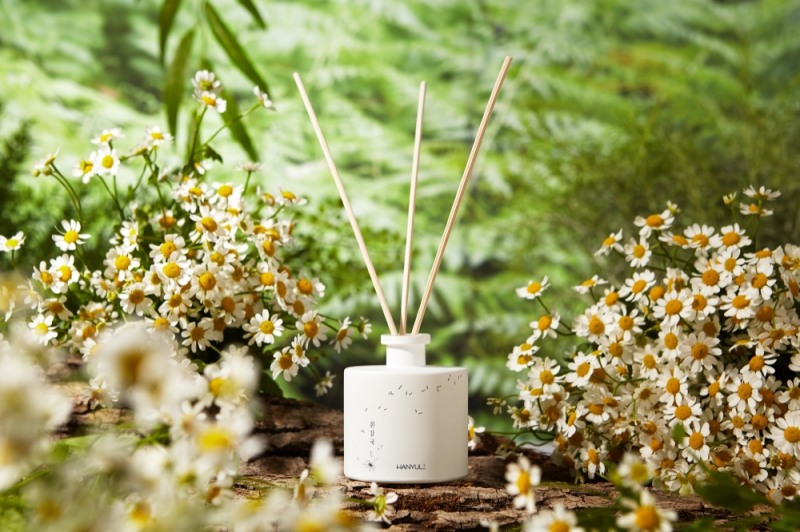 한율, ‘자연을 닮은 디퓨저 흰감국’ 5월 한정 출시