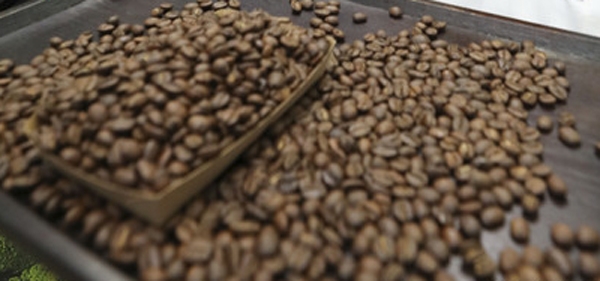 ‘블랙아이보리’가 오후부터 궁금증을 유발하고 있다. / 출처 NEWSIS 사진은 기사내용과 무관