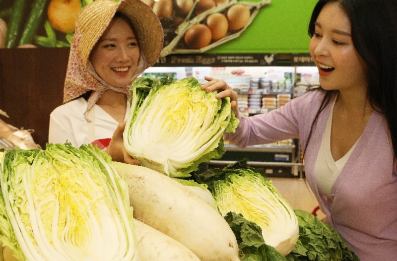 (사진=롯데마트)
