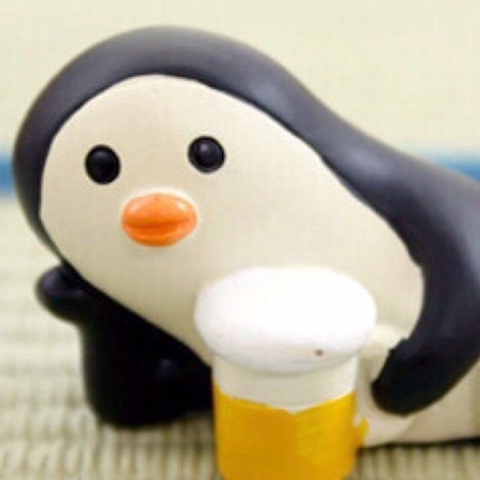 펭귄 프사, 이게 웬일...지금 유행인 이유