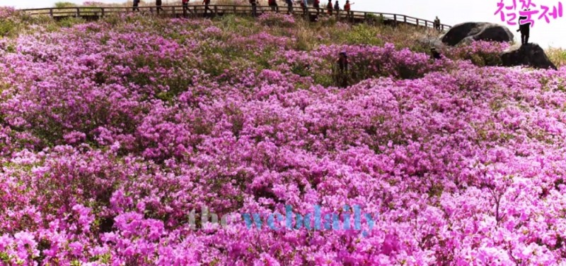사진= 산청 유튜브