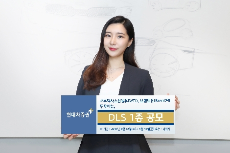 현대차증권이 모집하는 DLS 1종 안내 이미지. 사진=현대차증권
