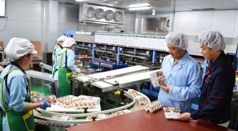 현대그린푸드, 中企 식품업체와 손잡고 홍콩에 ‘프리미엄 계란’ 수출한다