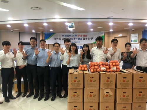 NH저축은행, 양파 팔아주기 운동 전개