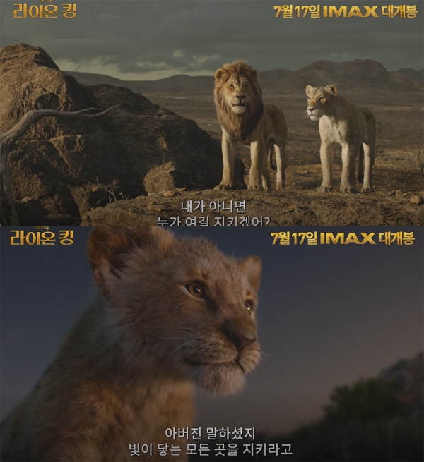 ‘라이온킹’ 쿠키에 대한 궁금증에 사로 잡힌 하루다 / 출처 예고화면
