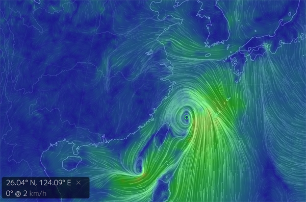 ‘태풍경로’에 대한 관심이 급증하고 있다 / 출처 구글어스눌스쿨