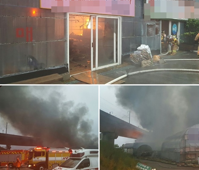 철마화훼단지 비닐하우스에 불.(사진제공=부산경찰청)