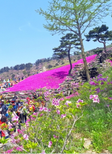 사진=황매산