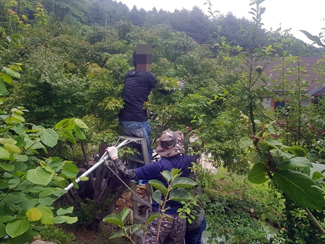 조경기술을 가진 사회봉사대상자들이 조경작업을 하고 있다.(사진제공=경주준법지원센터)