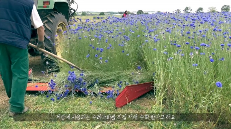 클로란, 글로벌 인플루언서들과 함께한 보태니스트 트립 공개