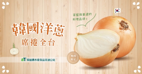 대만 구글 홈페이지 한국양파 소개 배너광고. 사진=aT