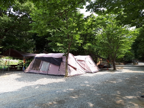 경기도제공