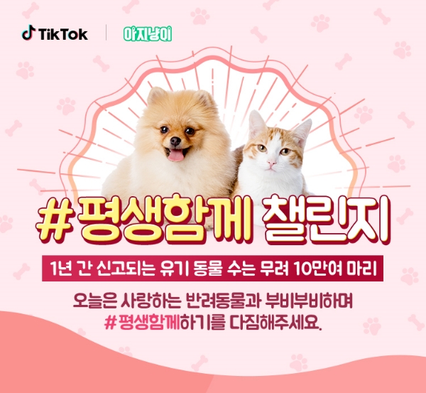 삼성카드, 틱톡과 함께 '평생함께 챌린지' 캠페인 진행