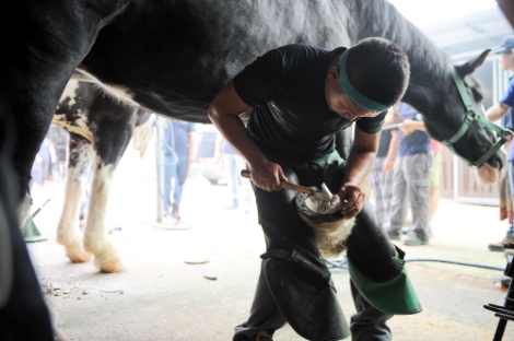 장제사가 말의 신발이라 할 수 있는 '편자'를 만들고 있는 모습. 사진=한국마사회