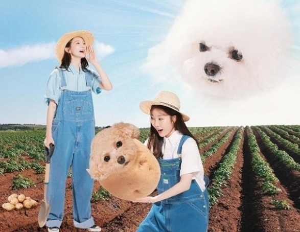 다비치 가족사진, 사이 좋아...연습생시절까지 총 14년