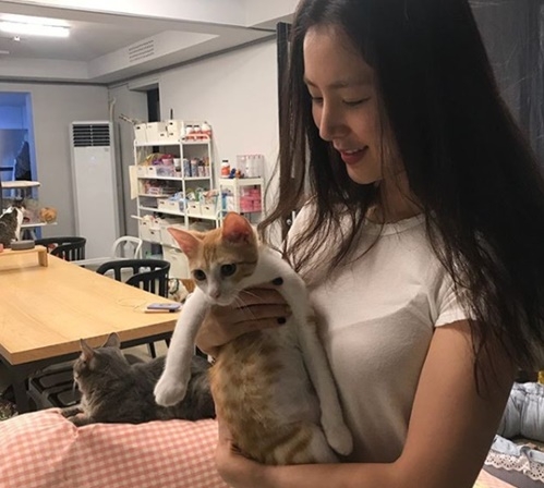 한채아 출산근황 (사진=SNS 캡처)