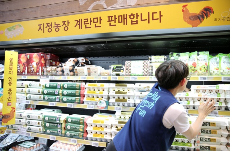 GS THE FRESH, 프리미엄란 계란 전체 매출 구성비에서 76% 차지
