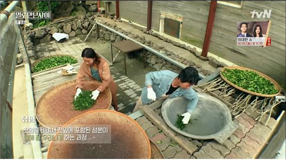 tvN예능일로만난사이방송캡처