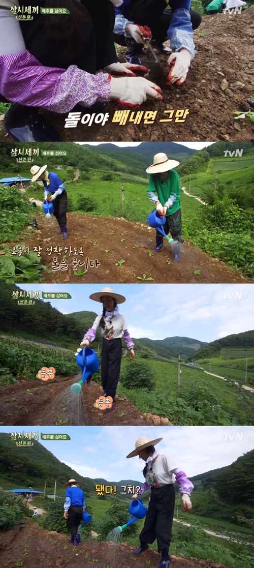 사진=tvN삼시세끼산촌편캡처